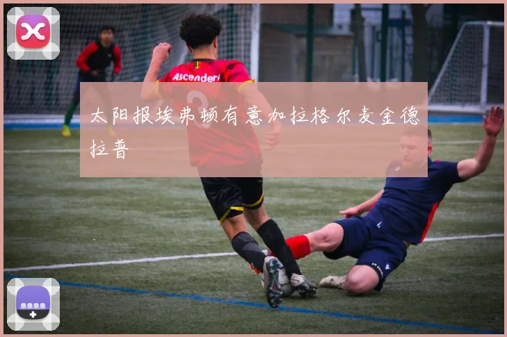 太阳报埃弗顿有意加拉格尔麦金德拉普