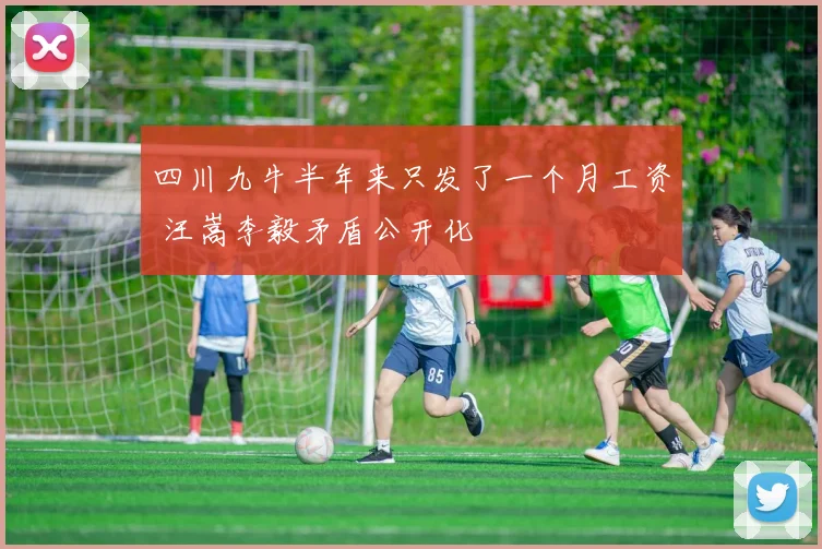 四川九牛半年来只发了一个月工资 汪嵩李毅矛盾公开化